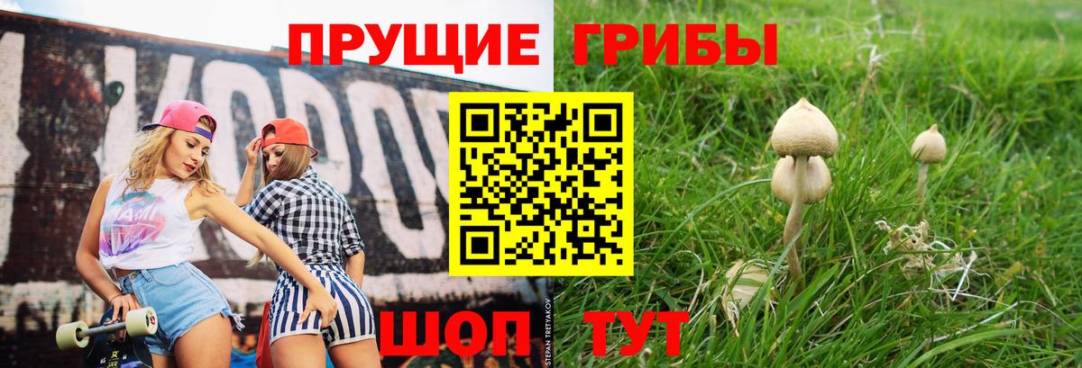 Азнакаево  Псилоцибиновые грибы Psilocybe  Вход с VPN 