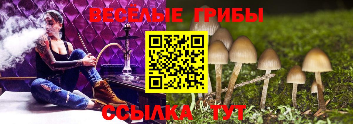 Галлюциногенные грибы Magic Shrooms Азнакаево